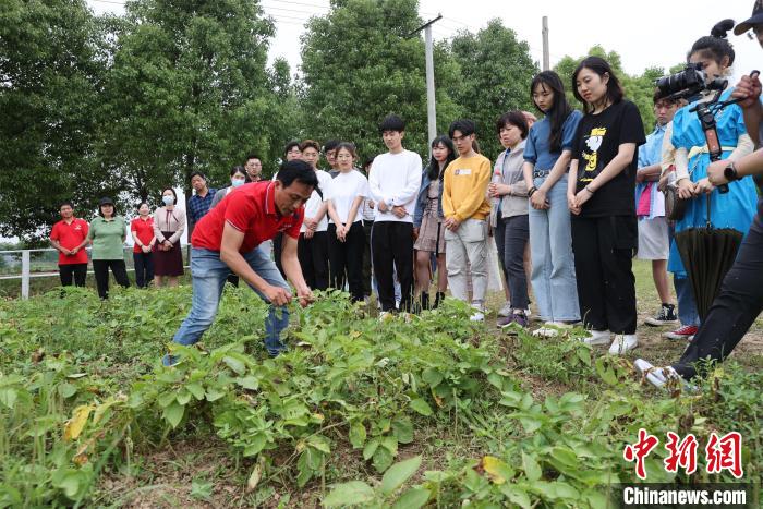 点击进入下一页