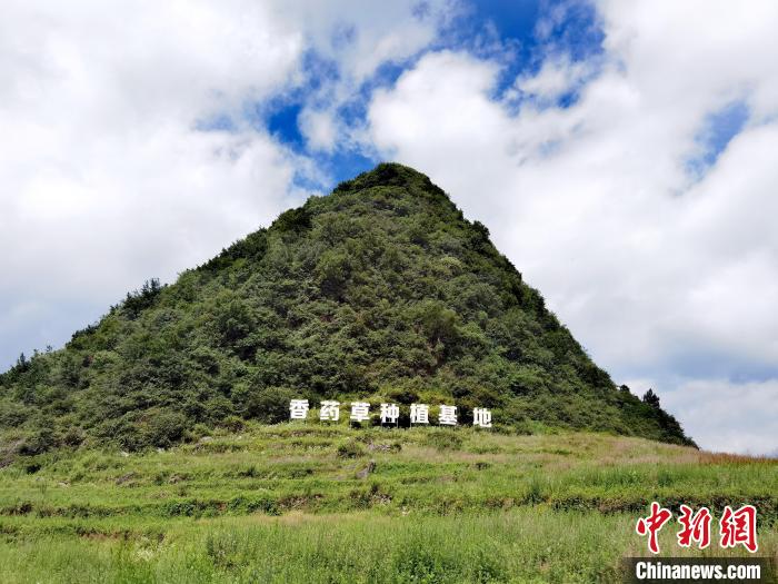 两岸农业专家携手合作欲打造东方“香草之都”
