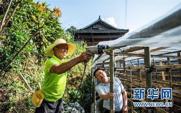 （图文互动）（5）贵州食用菌产业助农就业增收