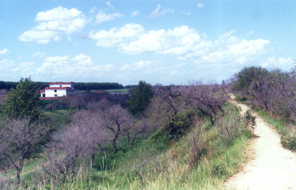 肇东市八里城遗址