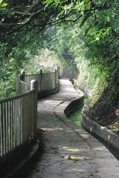 贵子坑 青山绿水一路相随