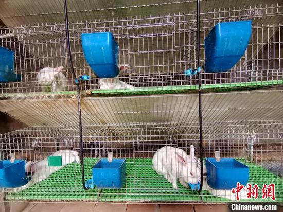 努尔斯曼古·吐拉洪家的免舍。　史玉江 摄