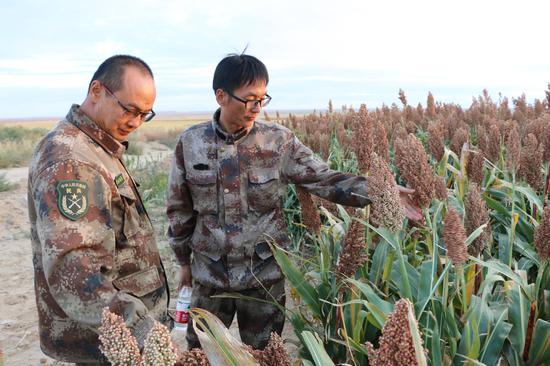 资料图片：2020年9月27日，一八二团组织人员观摩黄花沟的高粱种植基地。