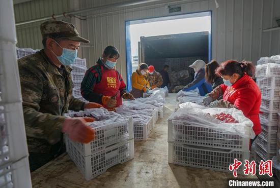 一箱箱葡萄经分拣后销往外地。　向浪 摄