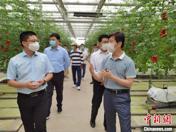台资农业企业家参观现代农业园区。　刘忠俊 摄