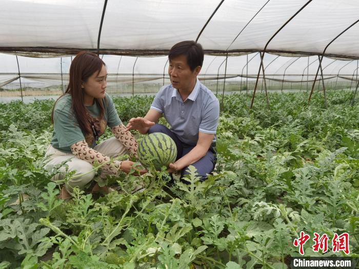 台湾农业专家、四川中蓝农业科技发展有限公司技术总监詹富翔与农户分享西瓜种植经验。　刘忠俊 摄