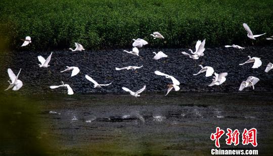 江西仙女湖与台湾日月潭签订协议互免两地居民门票