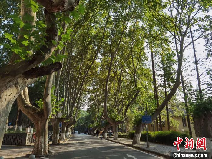 读书会举办地附近环境清幽。　朱晓颖 摄