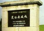 楚都纪南城遗址