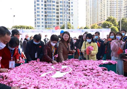 山海花语 21昆台花植设计嘉年华 活动在昆明启幕