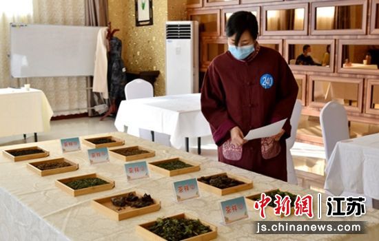 干茶识别。 朱志庚 摄 干茶识别。 朱志庚 摄