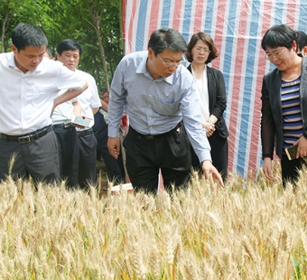 市长刘尚进带领相关部门负责人调研“三夏”生产工作