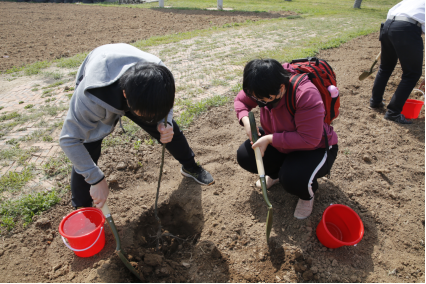 两岸同心 添绿减碳——天津台青志愿者服务队开展植树活动297