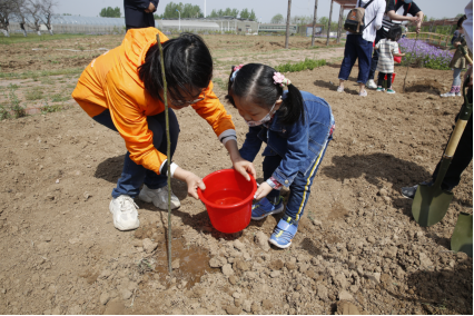 两岸同心 添绿减碳——天津台青志愿者服务队开展植树活动298