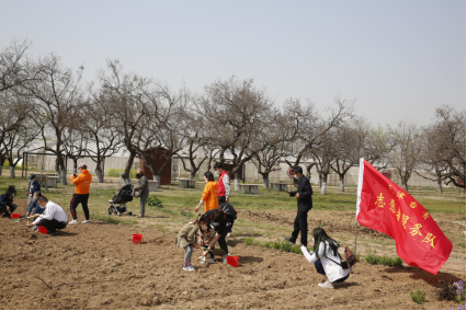 两岸同心 添绿减碳——天津台青志愿者服务队开展植树活动300