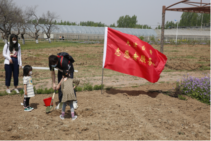 两岸同心 添绿减碳——天津台青志愿者服务队开展植树活动301