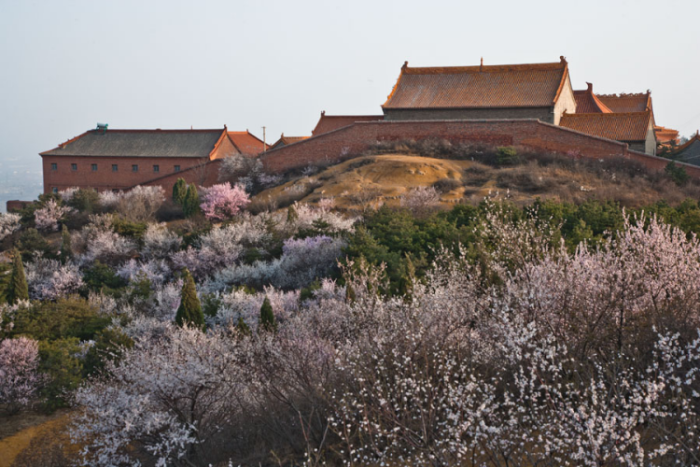 白马寺山森林公园915