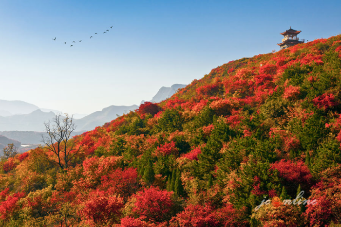 珏山风景区3804