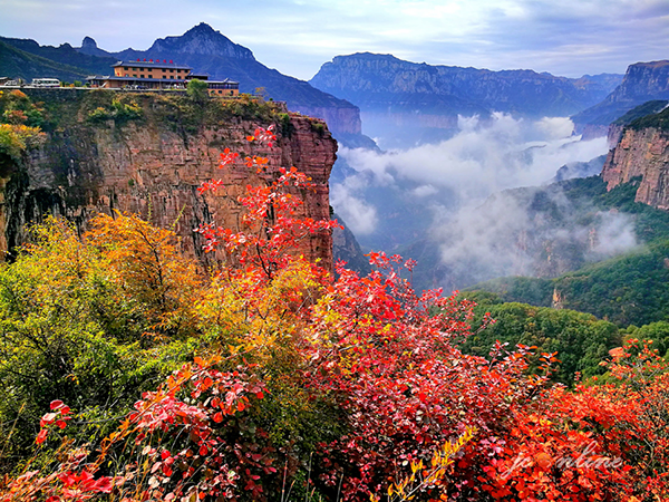 王莽岭旅游风景区1819