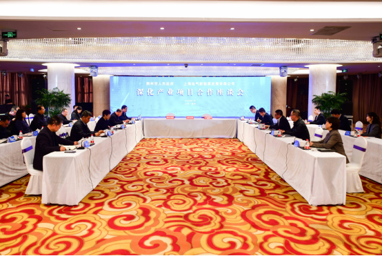 市政府与上海电气新能源发展有限公司举行座谈并签约154