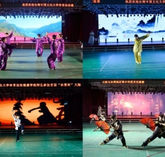 首届“冰雪杯”两岸青少年武术交流活动在哈尔滨市圆满举行