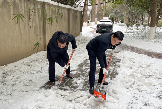 襄阳市委台办迅速行动奋力清雪保畅通19