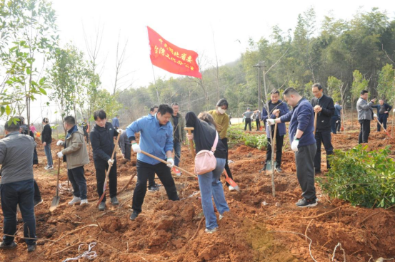 履行植树义务  共建美丽湖北31