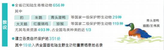 4.24河南要闻13013