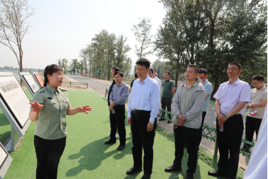 循足迹 学思想 强担当——市委台办赴西青区第六埠村开展参观见学活动212