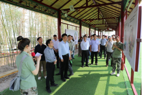 循足迹 学思想 强担当——市委台办赴西青区第六埠村开展参观见学活动725