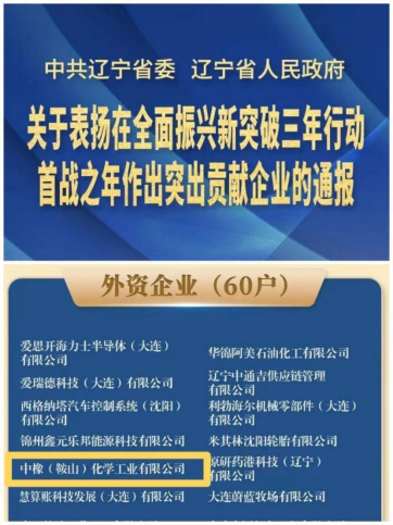 0516鞍山市台资企业受省委、省政府通报表扬（发布版）251