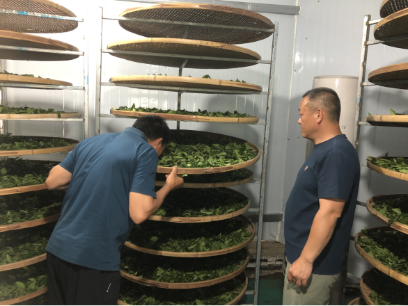 飘越宜台两地的一抹112