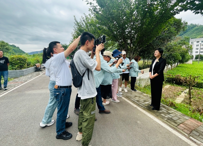 两岸媒体平利茶园采访县委副书记丁进君