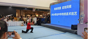 兩岸同源 武悅同根 2024津臺中華傳統(tǒng)武術(shù)技藝交流展演活動(dòng)在濱海新區(qū)舉行351