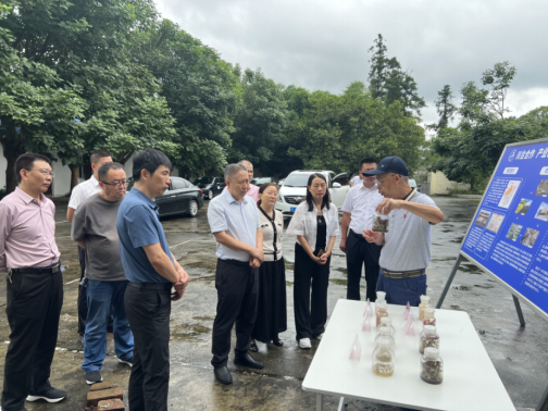 【服务台胞台企】泸州市人大调研川台乡村振兴合作试验园建设30