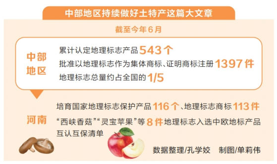 河南要闻24.08.225572