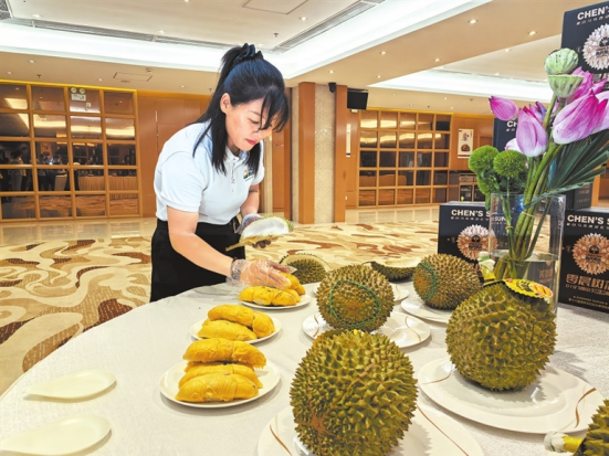 河南要闻24.08.263470