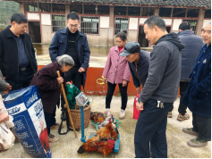 安岳县开展台胞台属“以购代扶”助力乡村振兴主题活动（改）23