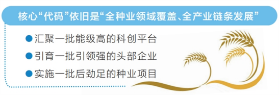 河南要闻24.12.24116