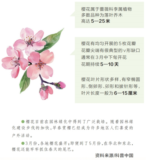河南要闻25.04.075599