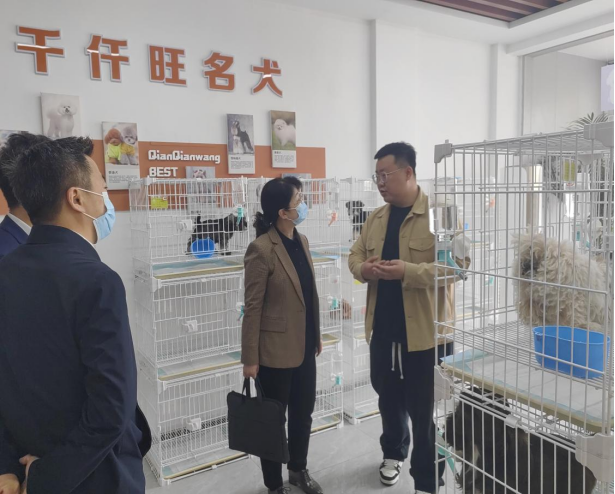 省台办副主任齐志一行来我市调研走访台资企业和宠物经济870