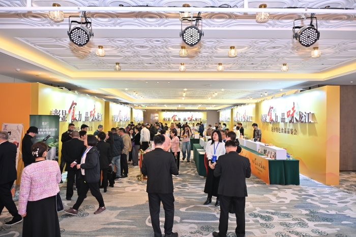 品鉴会4