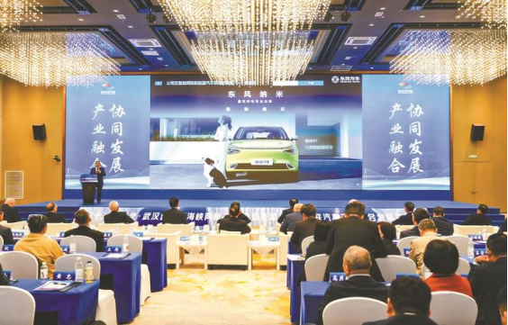 一衣带水汇荆楚 知音和鸣拓未来  第十九届湖北63