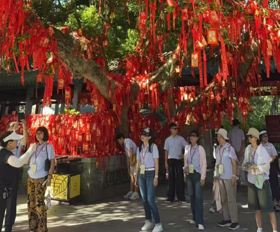 （信息）台湾青年岭南行粤美乡村活动1145
