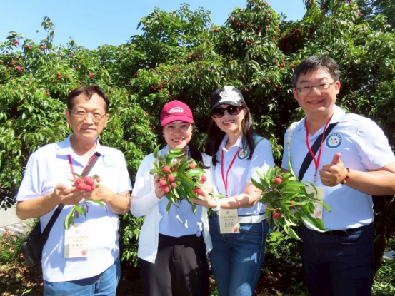 （信息）台湾青年岭南行粤美乡村活动1147
