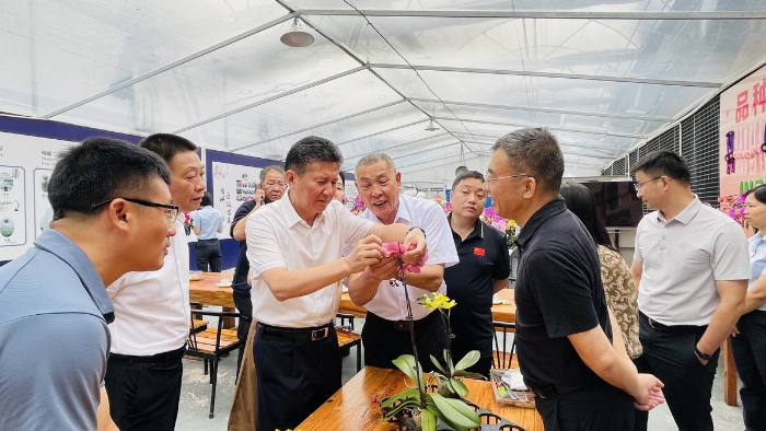 福建会5
