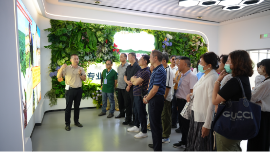 台商话玉溪：高原农业“种草”现场，两岸经贸“致富”密码792