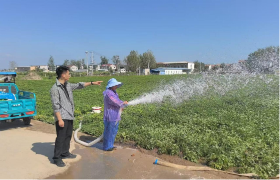 周口市淮阳区台办：抗旱保秋送清凉 心系台属办实事80