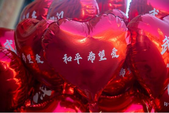 希望，爱，和平~一鸽也不能少121