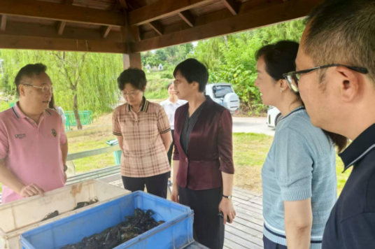 四川省台办主任刘晓晨赴巴中调研对台工作